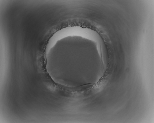 X0000113050192200909171548