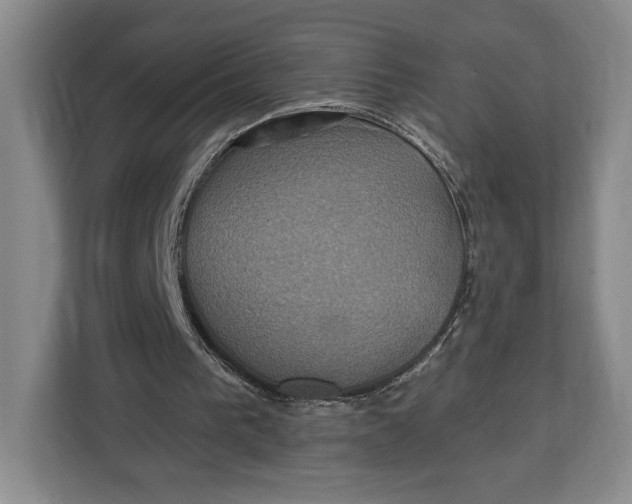 X0000113050193200909171548