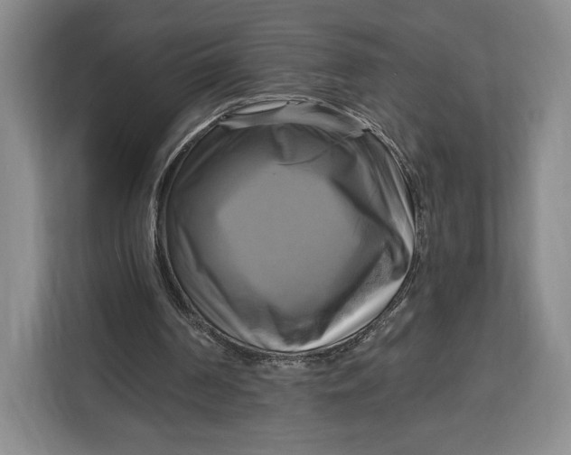 X0000113050194200909171548