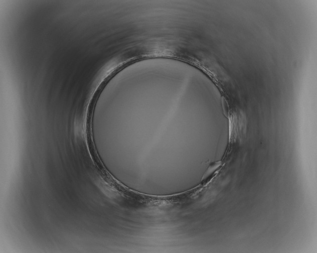 X0000113050195200909171548