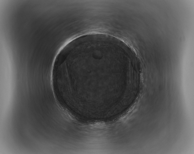 X0000113050196200909171548