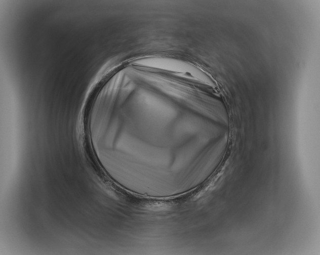 X0000113050198200909171548