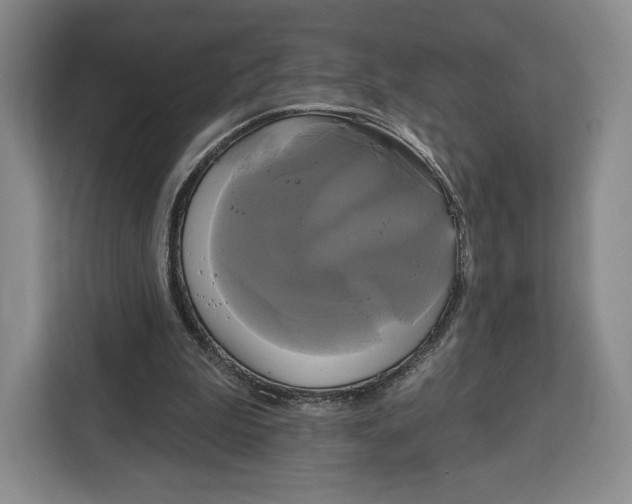 X0000113050199200909171548