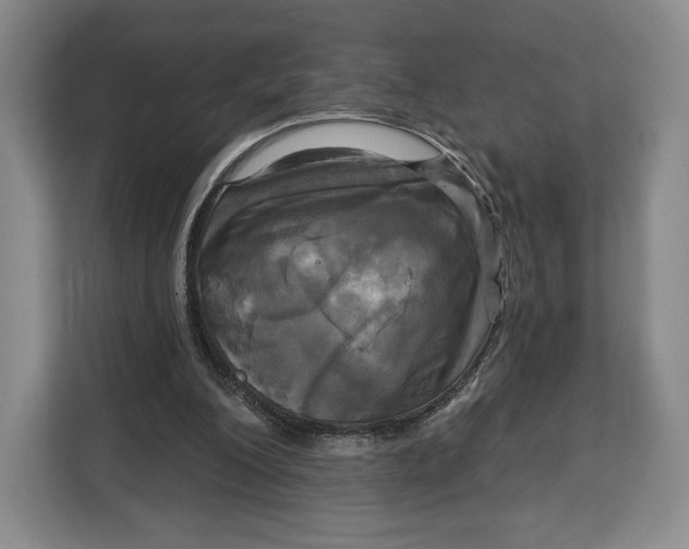 X0000113050200200909171548