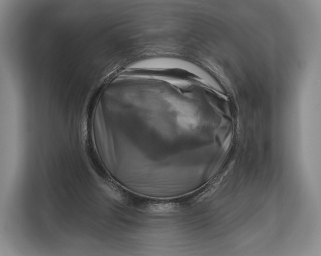 X0000113050202200909171548