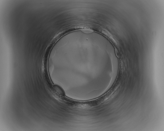 X0000113050203200909171548