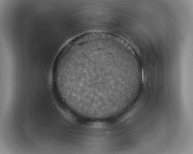 X0000113050204200909171548