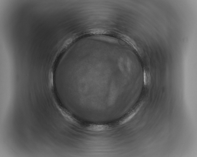 X0000113050205200909171548