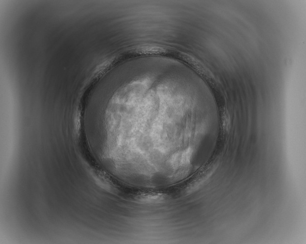 X0000113050206200909171548