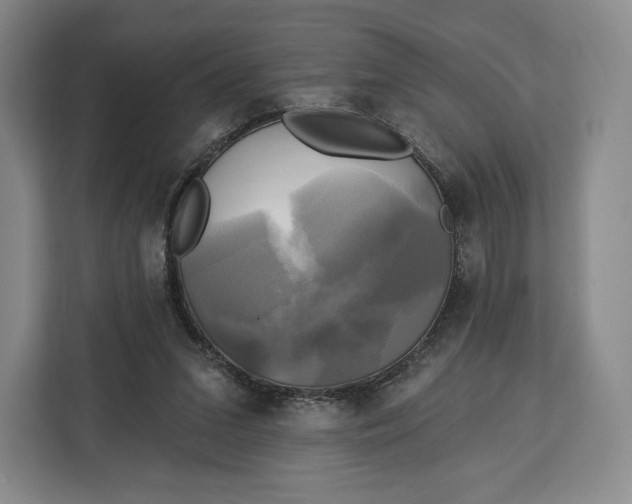 X0000113050207200909171548