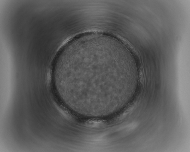 X0000113050208200909171548