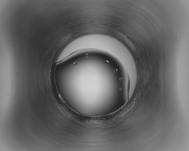 X0000113050209200909171547