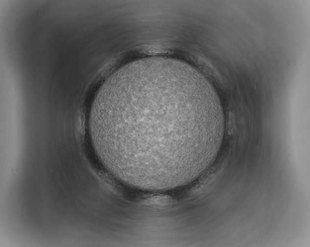 X0000113050210200909171547