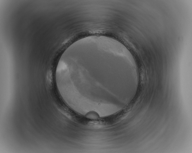 X0000113050211200909171547