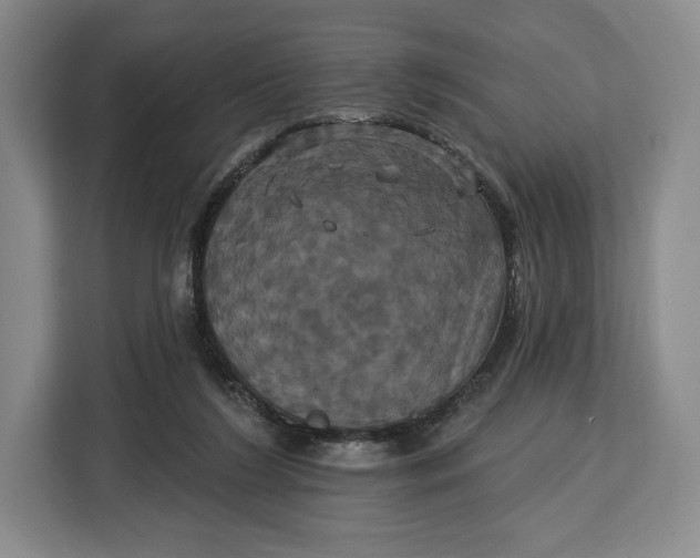 X0000113050212200909171547