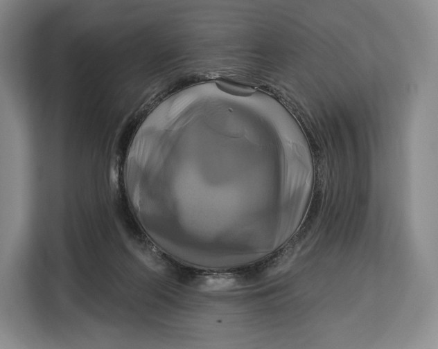 X0000113050214200909171547