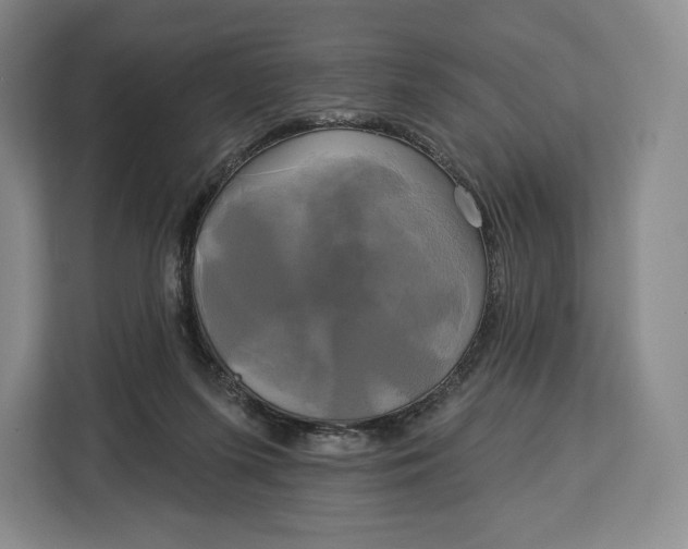 X0000113050215200909171547