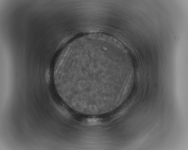 X0000113050216200909171547