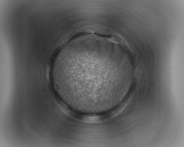 X0000113050217200909171547