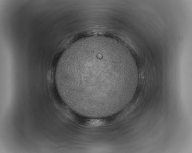 X0000113050218200909171547