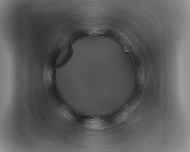 X0000113050219200909171547