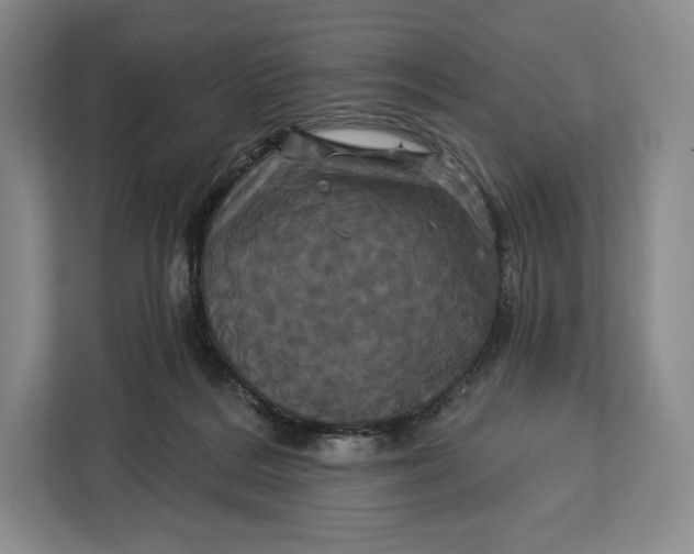 X0000113050220200909171547