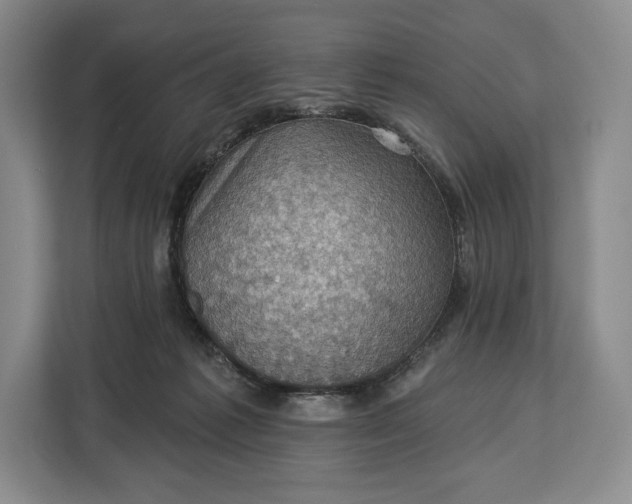 X0000113050221200909171547