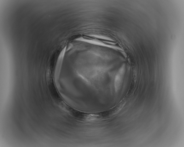 X0000113050222200909171547