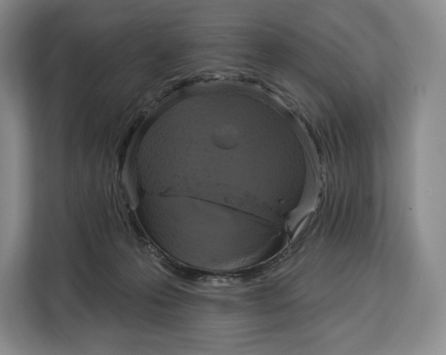 X0000113050223200909171547