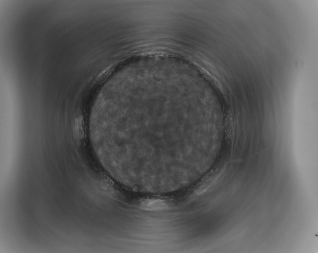 X0000113050224200909171547