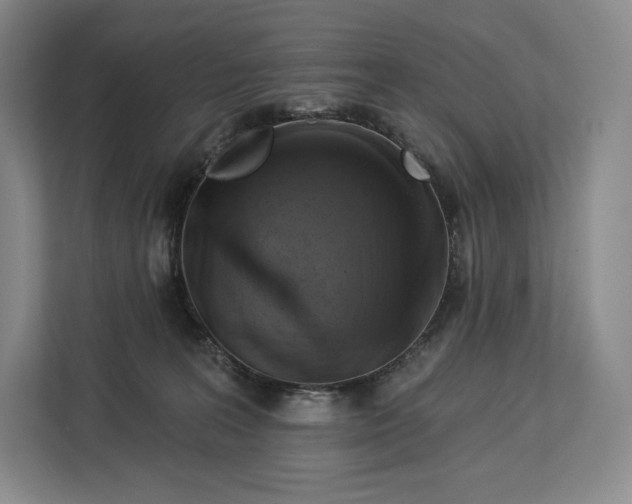 X0000113050227200909171547