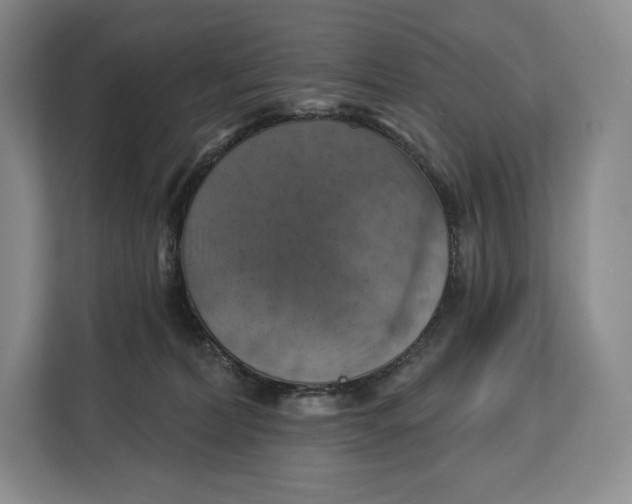 X0000113050228200909171547