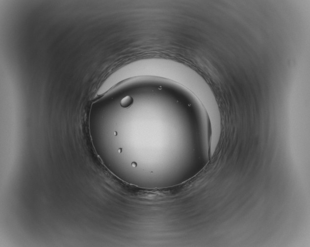 X0000113050229200909171547