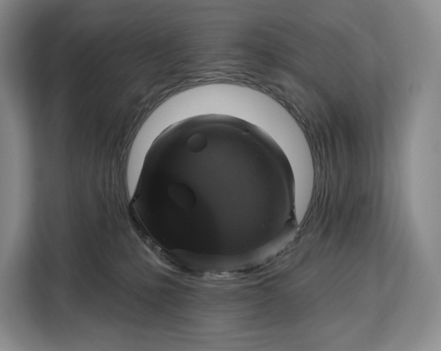 X0000113050231200909171547