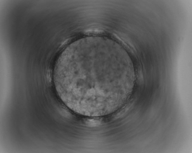 X0000113050232200909171547