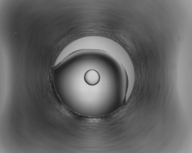 X0000113050233200909171547