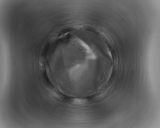 X0000113050234200909171547