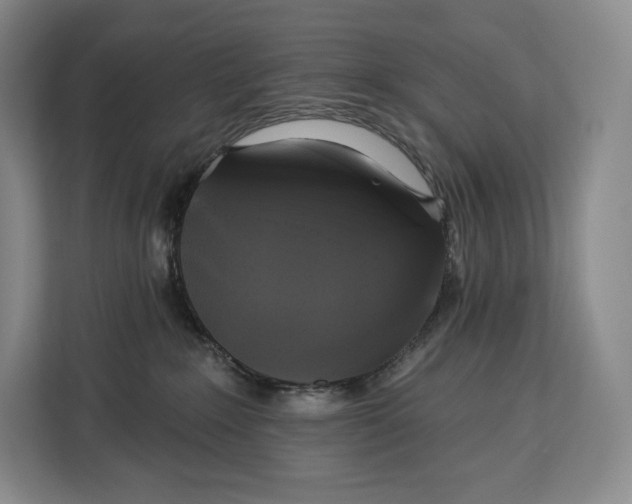 X0000113050235200909171547