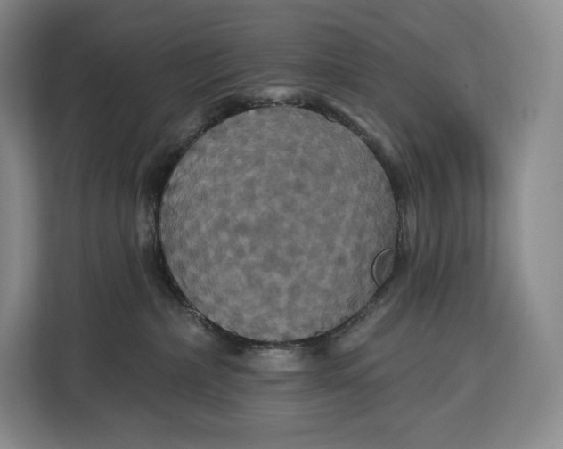 X0000113050236200909171547