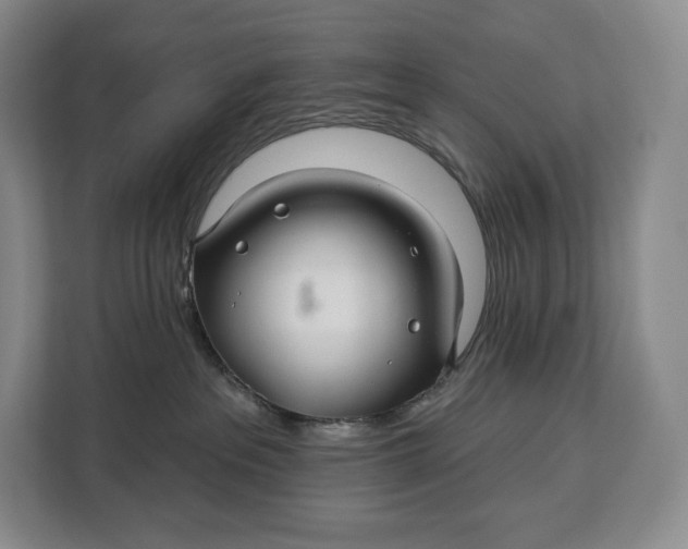 X0000113050237200909171547