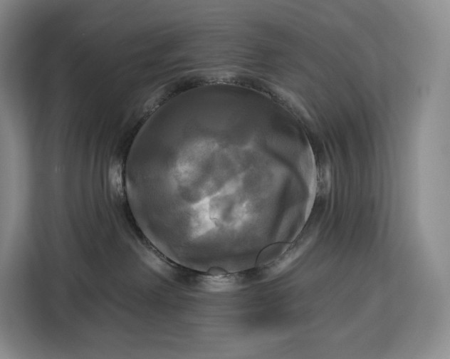 X0000113050238200909171547