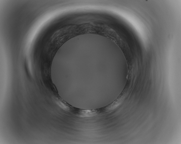 X0000113050239200909171547