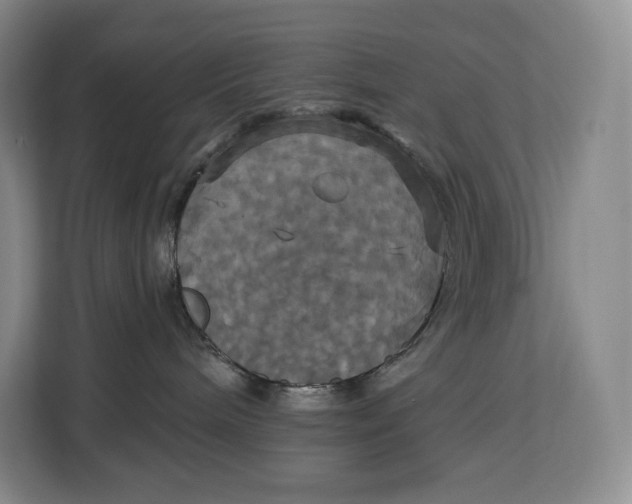 X0000113050240200909171547