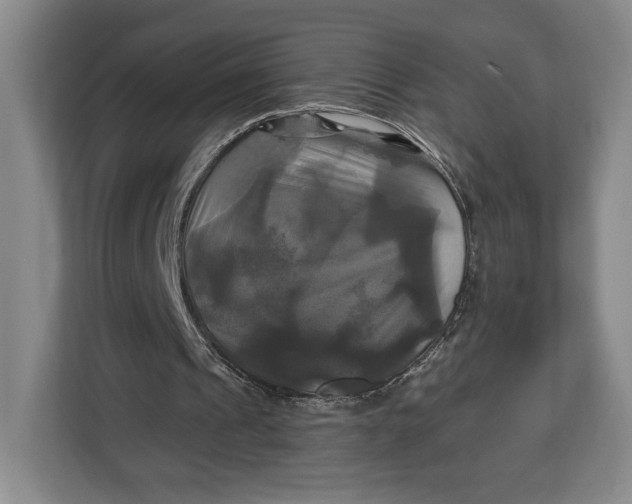 X0000113050241200909171546