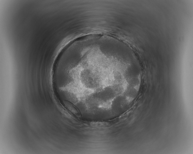 X0000113050242200909171546