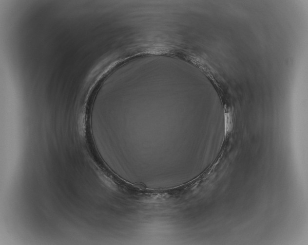 X0000113050243200909171546