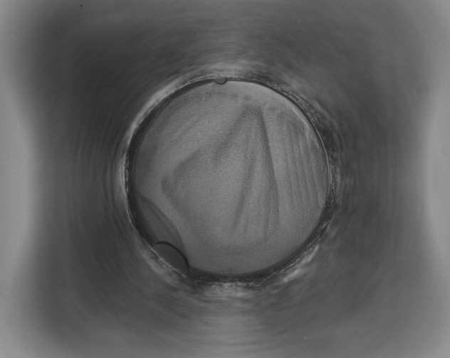 X0000113050244200909171547