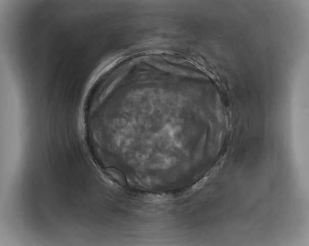 X0000113050245200909171547