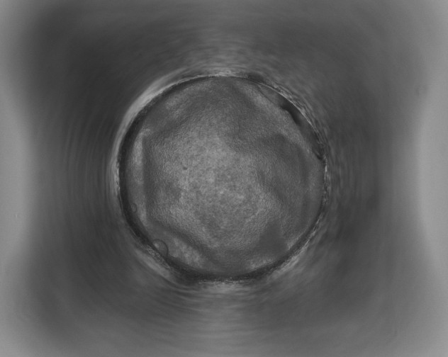 X0000113050246200909171547