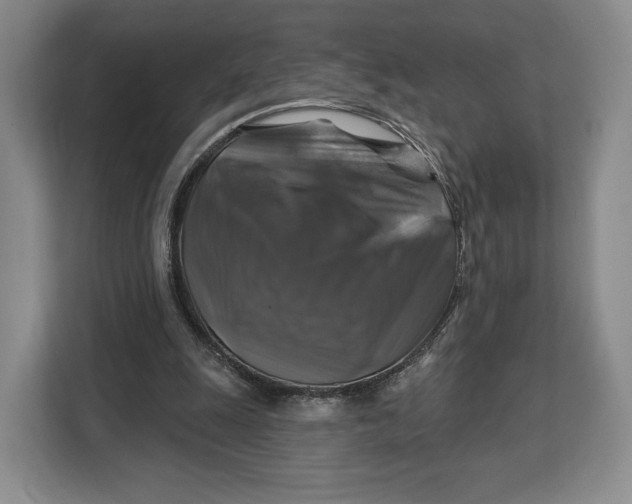 X0000113050247200909171547